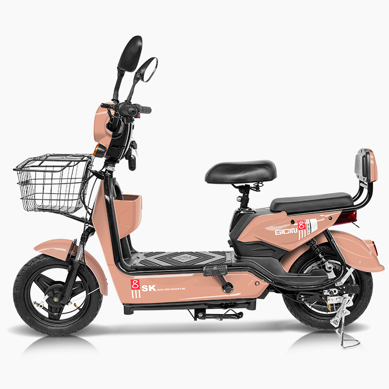 2025 Kelansini 48V12A Hinterra – Dual Motor Electric Motorcycle Frame Bewertung und Preis